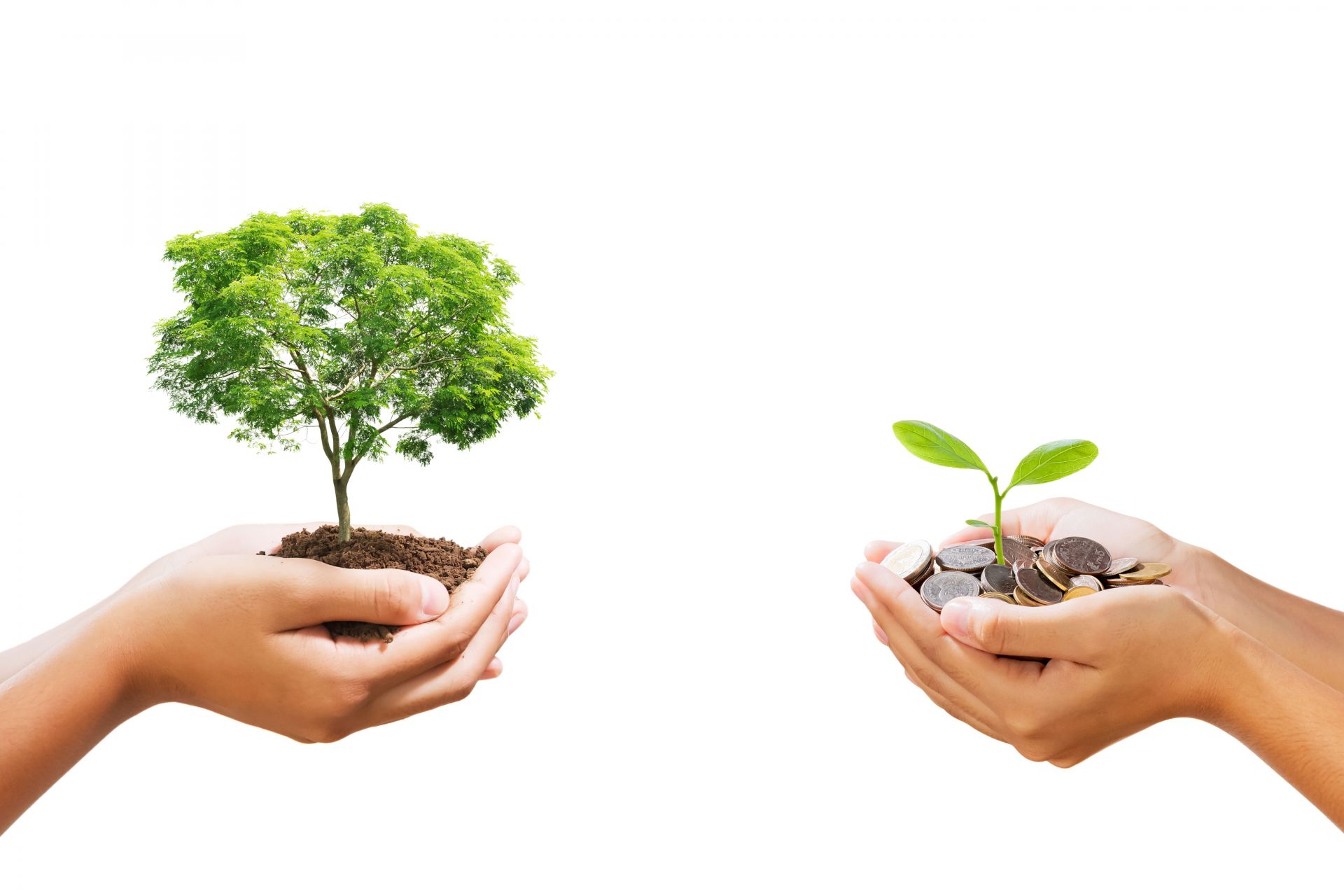 信用貸款是什麼?如何做?一篇入門完整教學搞懂民間貸款